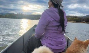 50岁龚琳娜独居深山，房子后面是一片坟地，离婚后养猫为伴不害怕