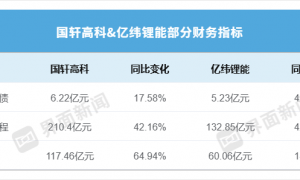 一家净利激增5倍、一家反降一成，国轩高科和亿纬锂能业绩为何悬殊？