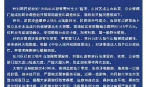 游客在大牯牛山“纵火烧山”？官方通报：12人被处罚，并限期恢复植被