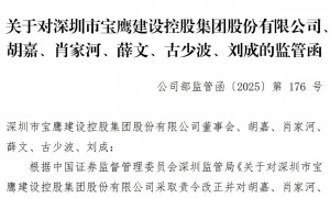 *ST宝鹰紧急停牌背后：大股东筹划控制权变更能否化解退市危机？