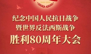 集结完毕!3个关键词解锁受阅方队特点