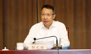 武汉市委原书记郭元强,新职明确