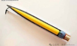 俄罗斯被曝进口数万吨燃油!乌军无人机遭干扰,击中核电站冷却塔