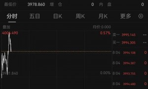 特斯拉董事长:若1万亿美元薪酬方案被否,马斯克或离开公司!美股创新高,黄金反弹,苹果总市值逼近4万亿美元,中概股爆发