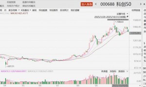 扫描科创50成分股三季报:半导体业绩增速瞩目 创新药企靠BD“逆袭”