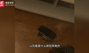 网友称其小米13手机未充电自燃冒白烟,官方客服回应