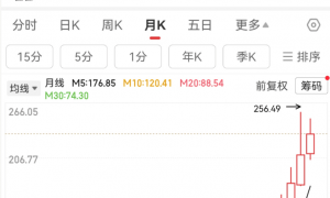 吊打比亚迪、用“老头乐”狂割美国人,这家车企要赴港上市了